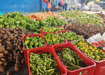 PAA: Prefeitura de Barra de São Francisco distribui quase 7 mil kg de alimentos