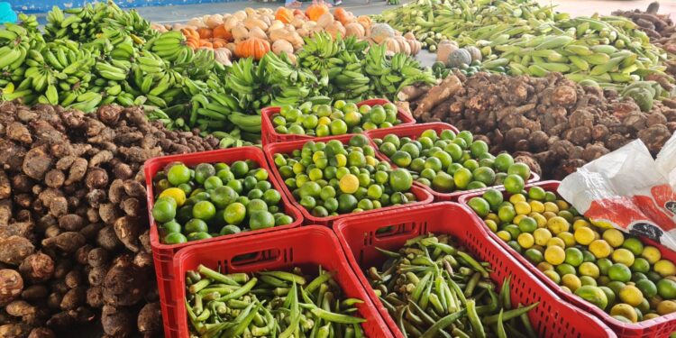 PAA: Prefeitura de Barra de São Francisco distribui quase 7 mil kg de alimentos