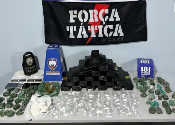 Pinheiros: policia faz apreensão recorde de 15,5kg de maconha