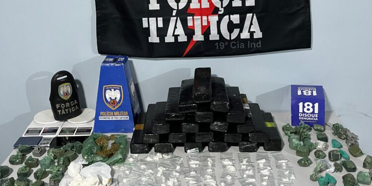Pinheiros: policia faz apreensão recorde de 15,5kg de maconha Pinheiros: policia faz apreensão recorde de 15,5kg de maconha
