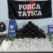 Pinheiros: policia faz apreensão recorde de 15,5kg de maconha Pinheiros: policia faz apreensão recorde de 15,5kg de maconha