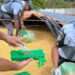 São Paulo: 2 toneladas de maconha no meio da carga de milho São Paulo: 2 toneladas de maconha no meio da carga de milho