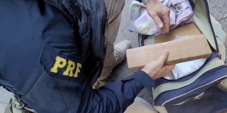 PRF apreende 22,1kg de maconha em ônibus de Ponto Belo