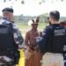 Sul da Bahia: grupo de trabalho sobre conflitos faz primeira reunião Sul da Bahia: grupo de trabalho sobre conflitos faz primeira reunião
