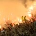 Rio Branco-ES vence a Desportiva e vai em busca do bicampeonato