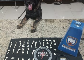 Força Tática e Equipe K9 apreendem 73 papelotes de cocaína no bairro Colina, em Barra de São Francisco