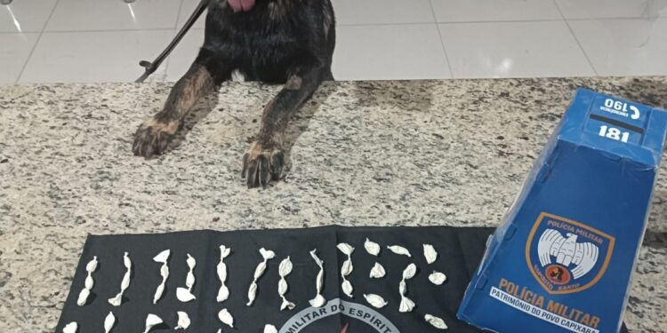 Força Tática e Equipe K9 apreendem 73 papelotes de cocaína no bairro Colina, em Barra de São Francisco