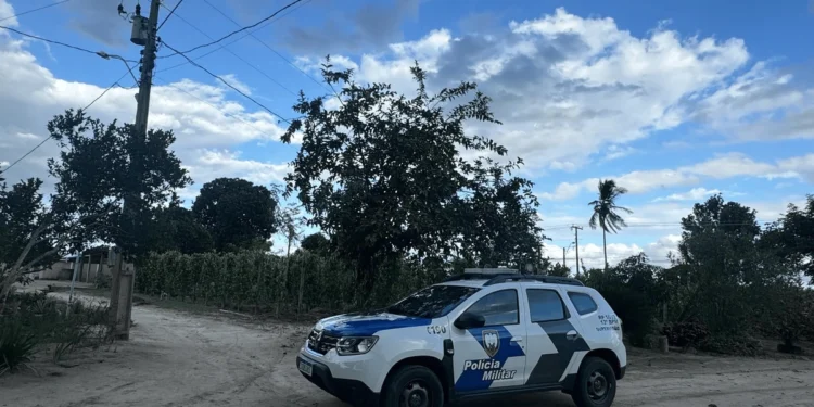 Bandidos invadem propriedade e furtam 40 sacas de pimenta-do-reino em São Mateus
