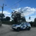 Bandidos invadem propriedade e furtam 40 sacas de pimenta-do-reino em São Mateus