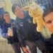 Polícia encontra arma e munições dentro de urso de pelúcia em Barra de São Francisco
