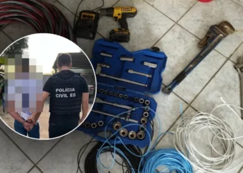 Polícia indicia cinco por roubo de 800kg de pimenta-do-reino em Boa Esperança