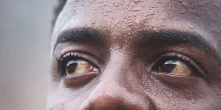 Andrey, goleiro, ex-seleção, da Desportiva para o Guarani: o renascer do “Pantera Negra”