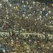 Final do Capixabão será  transmitida pela TV para todo o Brasil