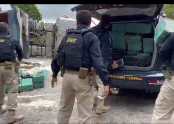 Traficante azarado tomba carreta com quase 1 tonelada de maconha