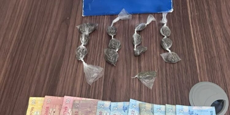 Polícia apreende maconha em Ecoporanga e Barra de São Francisco