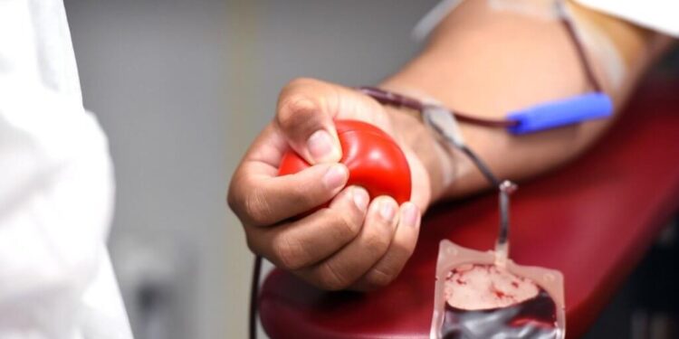 Câmara Municipal aprova projeto que isenta taxa de inscrição em concursos para doadores de sangue e medula óssea; entenda