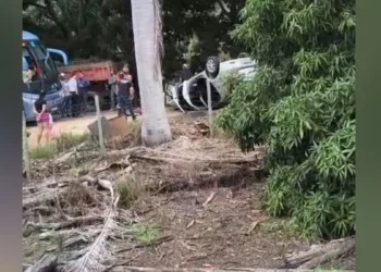 Policial civil fica ferido após viatura capotar durante diligência em Nova Venécia