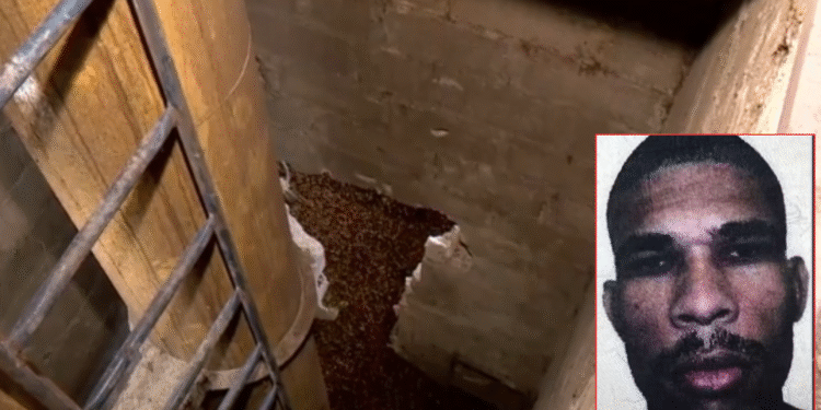 Trabalhador morre ao cair em máquina de secador de café em São Mateus