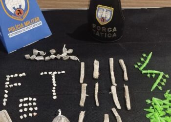 Policia apreende drogas em área de mata em Aguia Branca