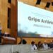 Gripe aviária: sem alarde, mas com vigilância, dizem autoridades no assunto Gripe aviária: sem alarde, mas com vigilância, dizem autoridades no assunto