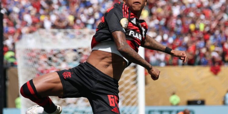 Fla é o primeiro classificado e como lider do grupo