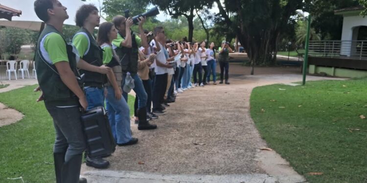 Usina Aimorés enfrenta poluição plástica na Semana do Meio Ambiente Usina Aimorés enfrenta poluição plástica na Semana do Meio Ambiente
