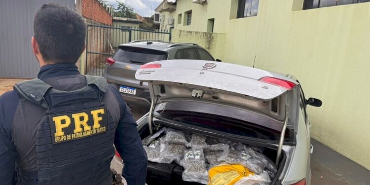 Francisquense é preso no Mato Grosso do Sul com carro carregado de drogas