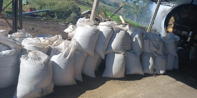 Polícia encontra grãos pelo caminho e localiza parte de sacas de café furtadas em Nova Venécia