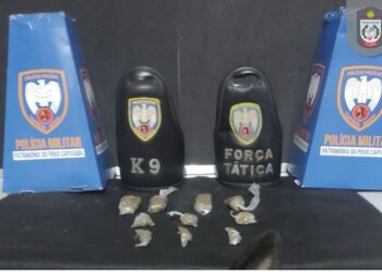 Polícia apreende drogas em Barra de São Francisco e Mantenópolis