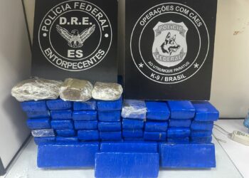 PF apreende 30kg de maconha e prende homem em flagrante em Cariacica