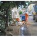 BSF: Prefeitura intensifica limpeza urbana com 8 mutirões e mais de 20 ações em 12 dias BSF: Prefeitura intensifica limpeza urbana com 8 mutirões e mais de 20 ações em 12 dias