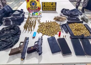 Sul da Bahia: PF e Força Nacional apreendem arsenal de armas em terra indígena