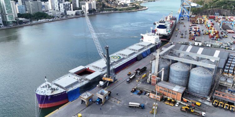 Navio Panamax descarrega pela primeira vez no porto de Vila Velha Navio Panamax descarrega pela primeira vez no porto de Vila Velha