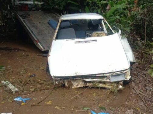 Carro perde o controle e sai da pista entre Vila Verde de Pancas e Águia Branca