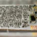 Adolescente é apreendido após esconder drogas na casa da namorada em Linhares Adolescente é apreendido após esconder drogas na casa da namorada em Linhares