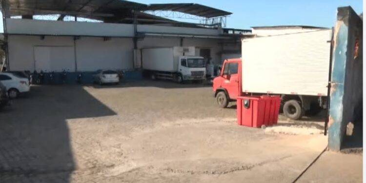 Polícia prende em 24 horas suspeito de crime em frigorífico de Viana Polícia prende em 24 horas suspeito de crime em frigorífico de Viana