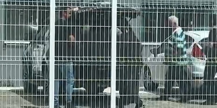 Corrupção em Pedro Canário: empresários se entregam à Federal; veja vídeo