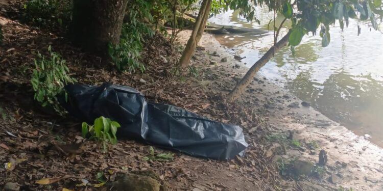 Homem morre afogado no rio Cricaré, em São Mateus Homem morre afogado no rio Cricaré, em São Mateus