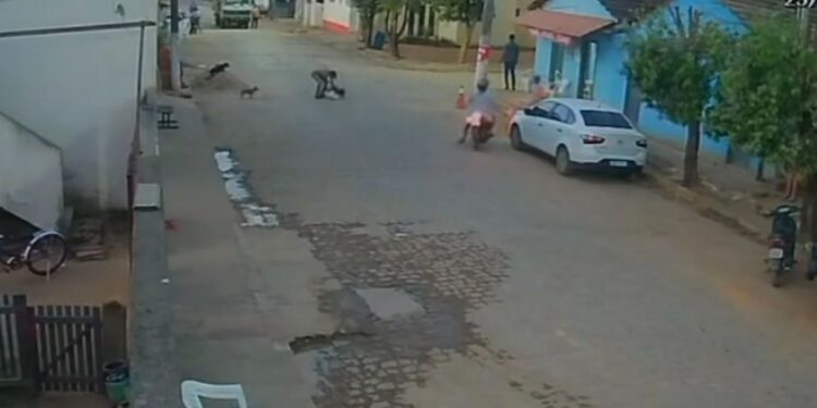 Vídeo mostra homem matando cachorro em via pública em Baixo Guandú