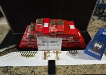 Quase 50kg de maconha aprendidos pela Polícia na Colina