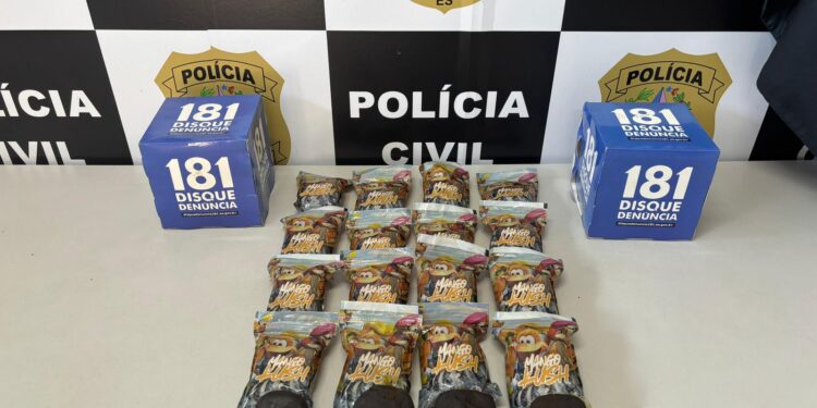 Homem preso em flagrante na BR 262 com 2kg de haxixe Homem preso em flagrante na BR 262 com 2kg de haxixe