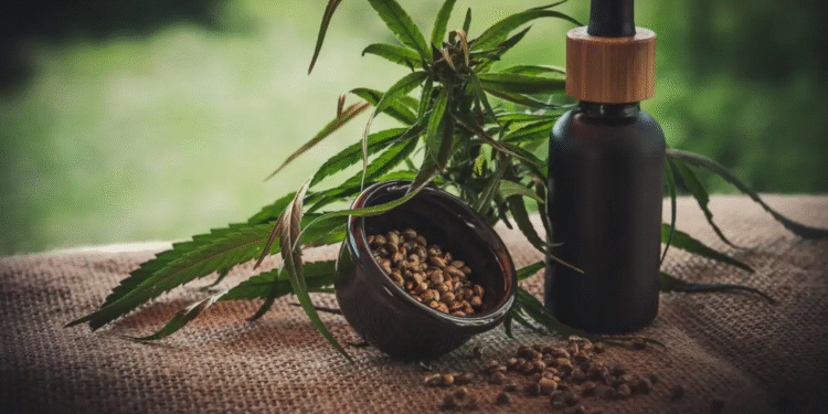 Canabidiol desponta como aliado no cuidado de pessoas com Transtorno do Espectro Autista