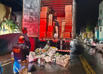 Caminhão com 780 kg de maconha escondida em caixas de panetone é apreendido; destino era Colatina