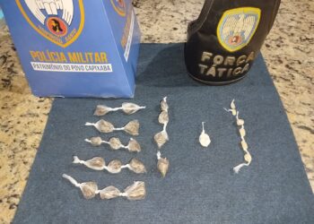 Polícia encontra drogas escondidas em terreno próximo ao “Bar da Lúcia” em Barra de São Francisco