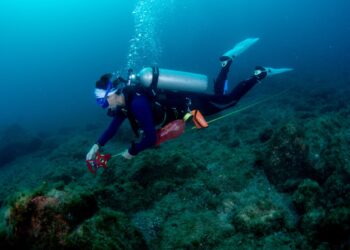 Poluição nos oceanos ameaça a produção de novos medicamentos; apontam pesquisadores