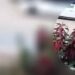 Vídeo: motociclista fica ferido após batida com carro em avenida de São Gabriel da Palha Vídeo: motociclista fica ferido após batida com carro em avenida de São Gabriel da Palha