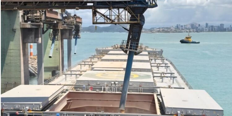 VLI embarca 75,5t de milho em Tubarão: nova porta para o agro VLI embarca 75,5t de milho em Tubarão: nova porta para o agro