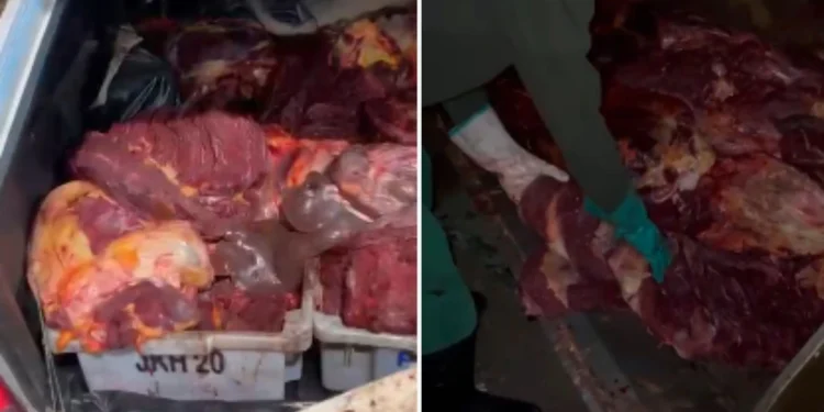 Polícia apreende 390 kg de carne de cavalo que seriam vendidas para açougues, restaurantes e churrasquinhos da Grande Vitória