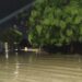 Alerta de novos temporais entrando pelo Sul até o Norte do Estado Alerta de novos temporais entrando pelo Sul até o Norte do Estado