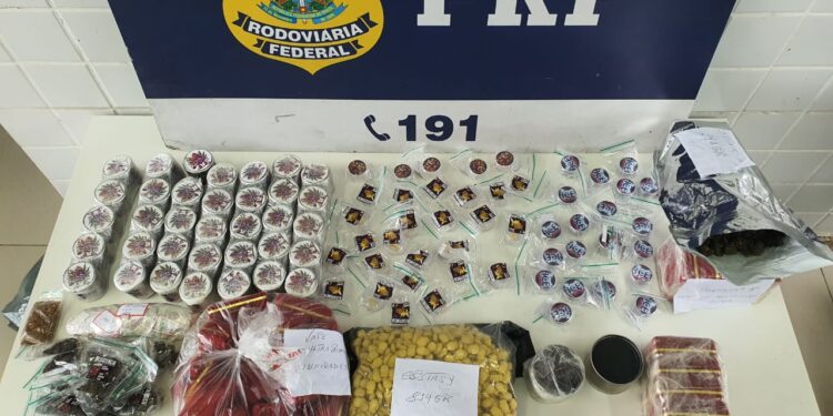 PRF prende casal com carga de drogas na BR 101 Sul